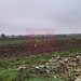 Teren Investitie aproape de Bucuresti